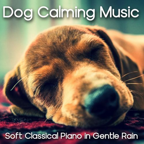 Ave Maria (Piano Rain Mix) cover art