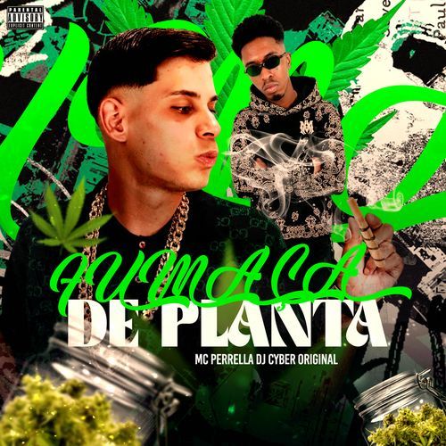 FUMAÇA DE PLANTA