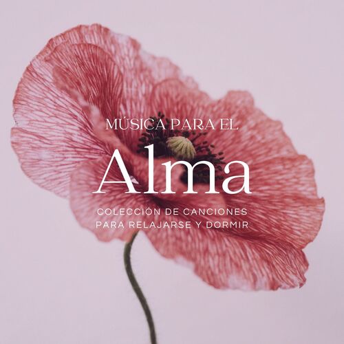 Musica de Spa para Relajarse cover art