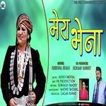 Mera Bhena (Jaunsari Song)