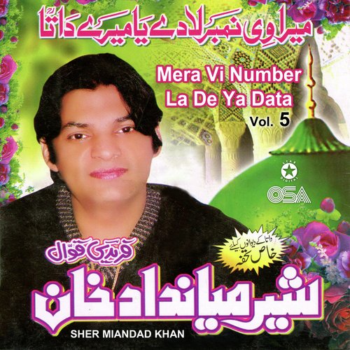 Mera Vi Number La De Ya Data, Vol. 5_poster_image