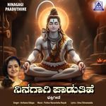Ninagagi Paaduthihe