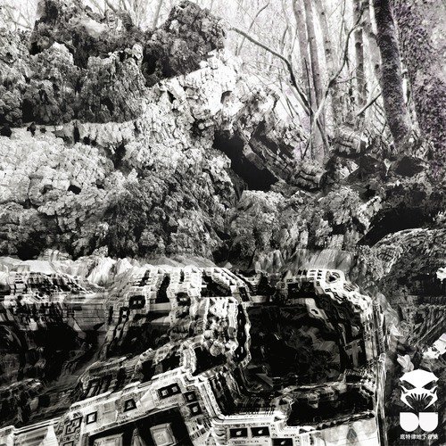 Black Box cover art