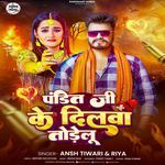 Pandit Ji Ke Dilwa Todelu