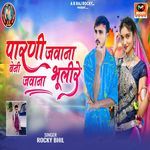 Parni Javana Beni Javan Bhuli Re