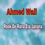 Nari Nari Oba Razi Na