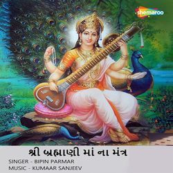 Shree Brahmani Maa Na Mantra