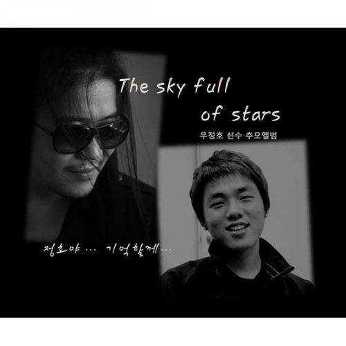 The Sky Full of Star cover art