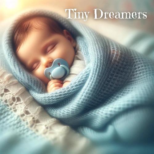 Tiny Dreamers: Gently Ease Your Little One into Sweet Dreams_poster_image