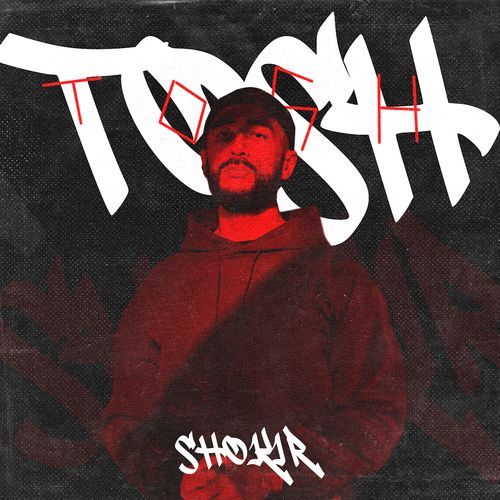 Customlashamiz cover art