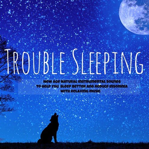 Only Us In My Room Rem Sleep Music Song Download From Trouble Sleeping New Age Natural Instrumental Sounds To Help You Sleep Better And Reduce Insomnia With Relaxing Music Jiosaavn