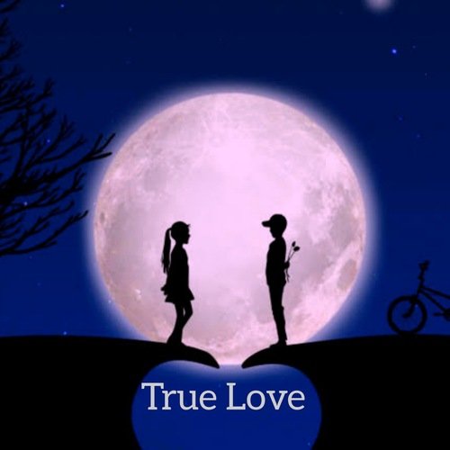 True Love Lyrics - True Love - Only on JioSaavn