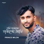 Tumi Harale Harabo Ami