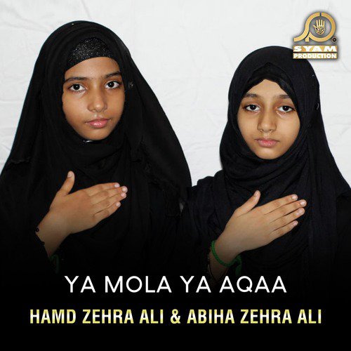 Abiha Zehra Ali