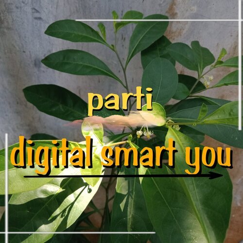 digital smart you_poster_image