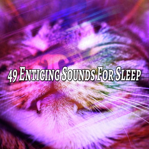 49 Enticing Sounds For Sleep