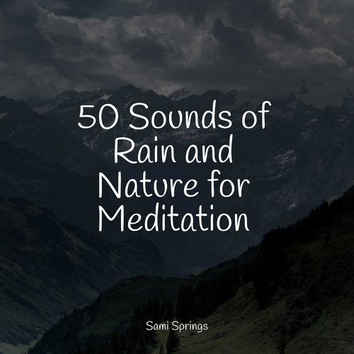 50 Meditation Rain Sounds_poster_image