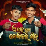 A Babu Tui Dekhi Kari Thibu