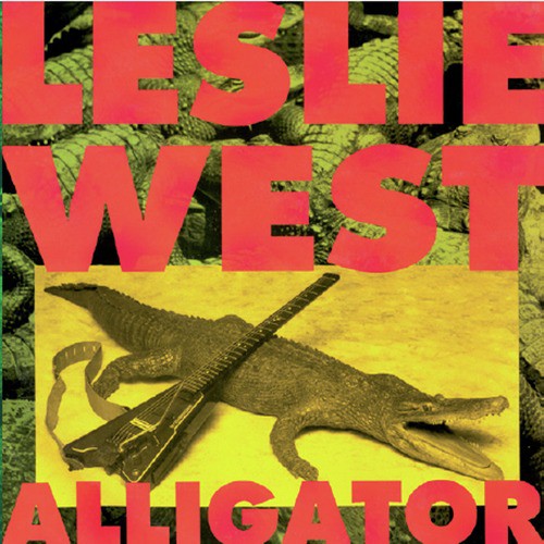 Alligator