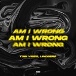 Am I Wrong (Techno Mix)