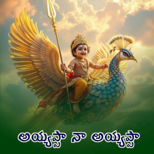 Ayyappa Na Ayyappa