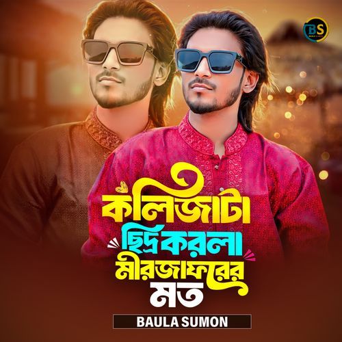 কলিজাটা ছিদ্র করলা মীরজাফরের মত