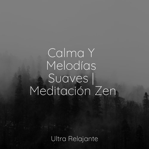 Calma Y Melodías Suaves | Meditación Zen