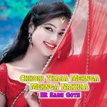 Chhori Thara Mehnga Mehnga Nakhra