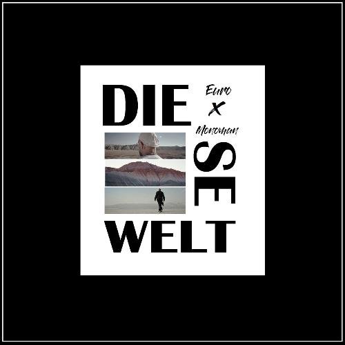 Diese Welt_poster_image