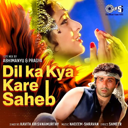 Dil Ka Kya Kare Saheb (Lofi Mix)