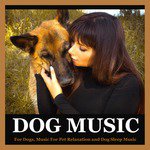 Dog Music for Dogs, Music for Pet Relaxation and Dog Sleep Music