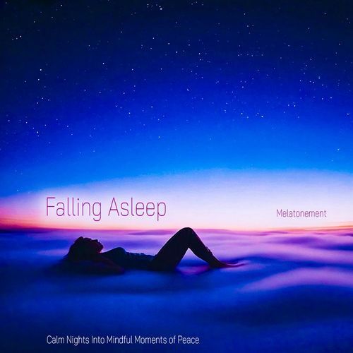 Fall Into Deep Sleep Paradise cover art