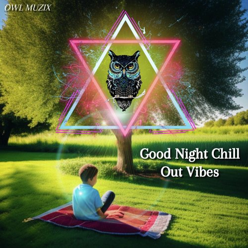 Good Night Chill Out Vibes_poster_image