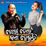 Gori Tora Kana Heichhi
