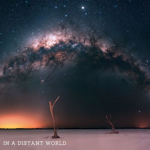 In a distant world_poster_image