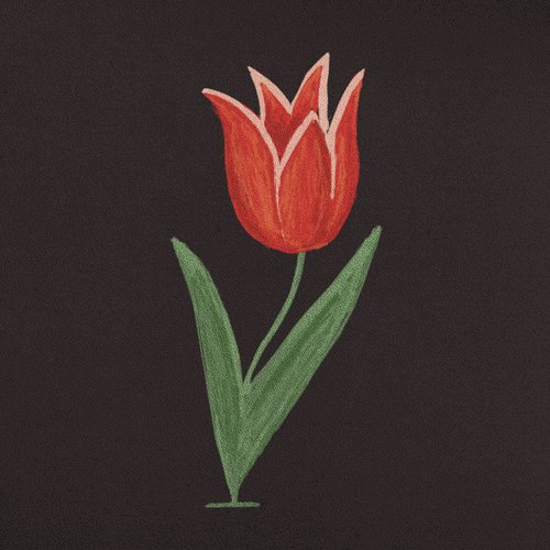 Wise cover art