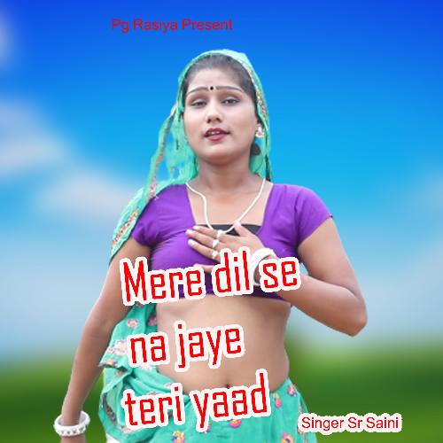 Mere dil se na jay teri yad Sad Song_poster_image