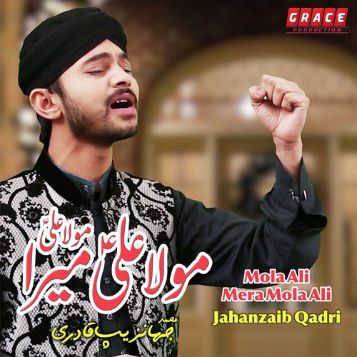 Jahanzaib Qadri