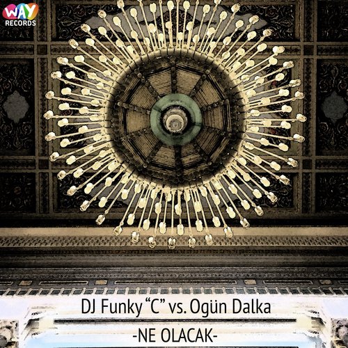 Ne Olacak (Original Mix) cover art