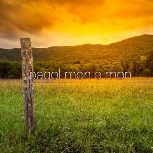 Pagol mon o mon