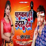 Paswan Hai Udaar Dem (Viral Song)