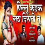 Pillu Kadak Lay Disti Tu