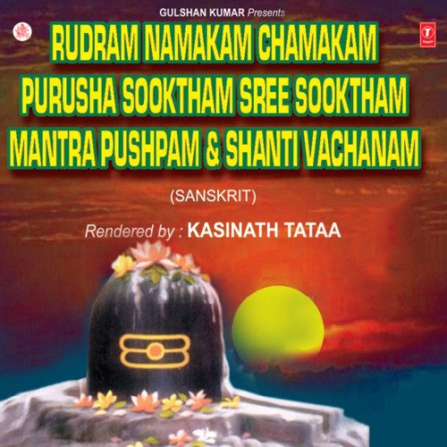 Rudram Namakam Chamakam Purusha Sooktham Sree Sooktham Mantra Pushpam