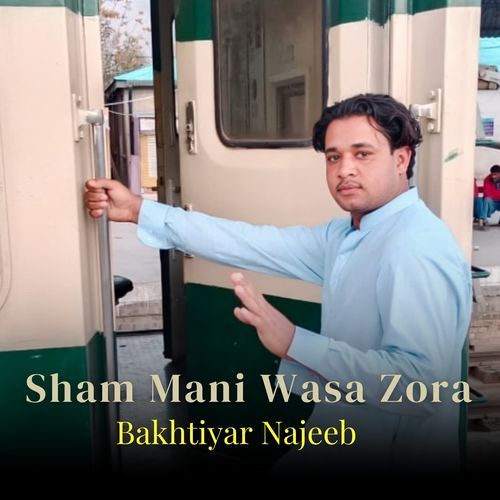 Sham Mani Wasa Zora