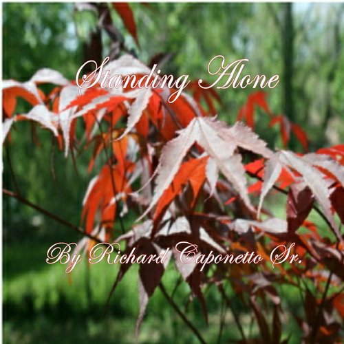 Peace on Earth cover art