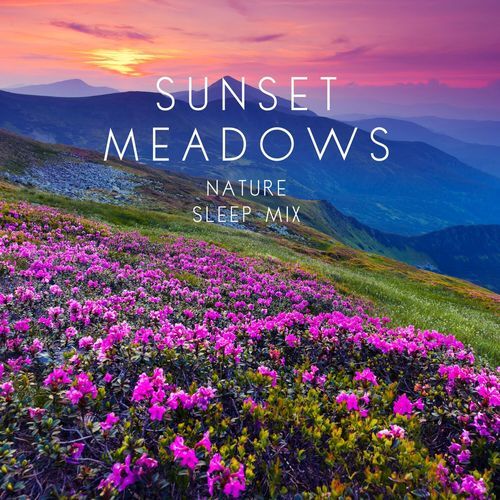 Sunset Meadows Nature (Sleep Mix)_poster_image