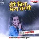 Tere Bin Man Tarse - Single