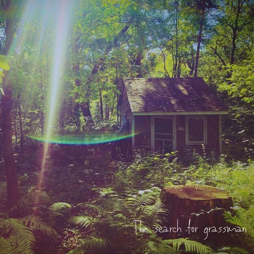 Fly Agaric cover art