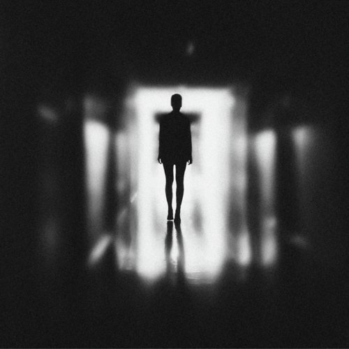 The Walls cover art
