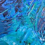 Usocreogalla Kingdom